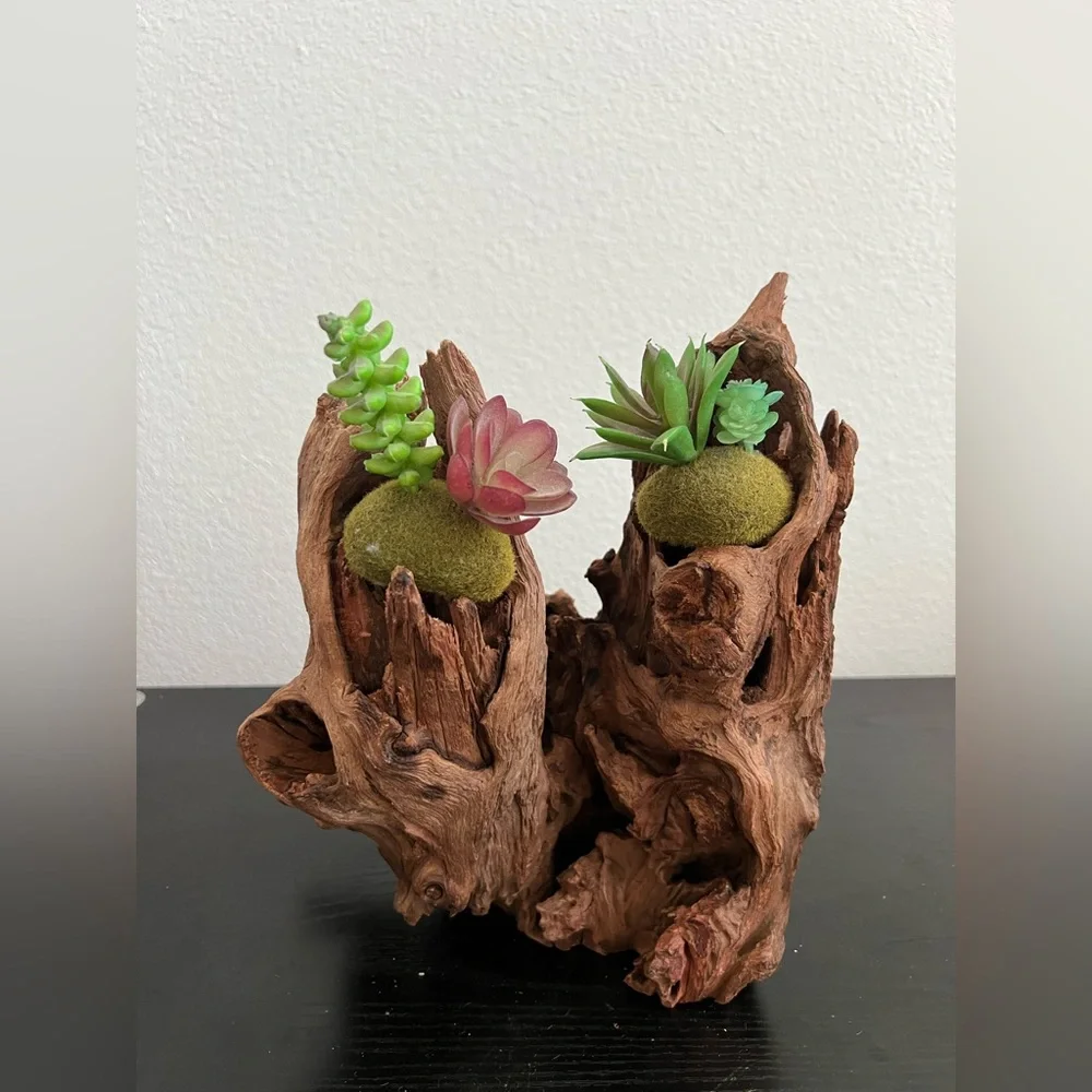 Natural Driftwood Sculpture decoration